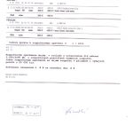 Damasek3