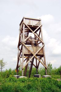 Rozhledna